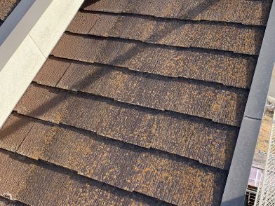 大津市のお客様